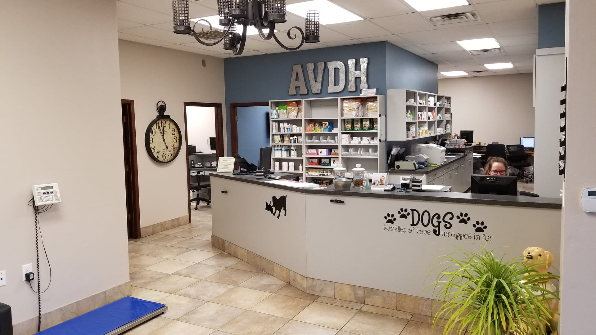Veterinarian Near Me In Austin Texas 78736